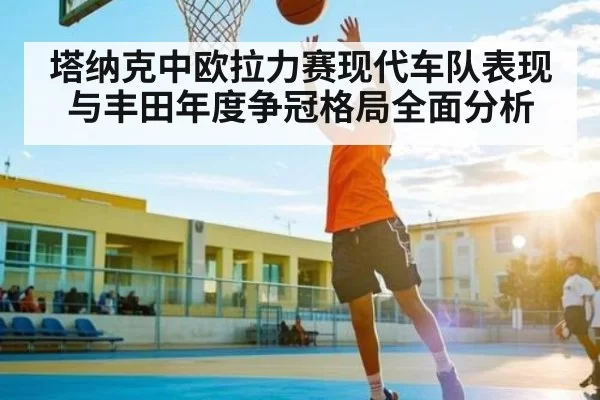 塔纳克中欧拉力赛现代车队表现与丰田年度争冠格局全面分析
